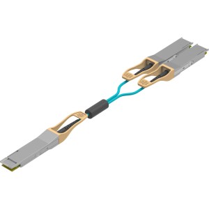 200G QSFP28-DD to 2x...