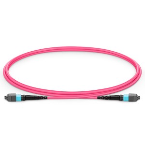 Multimode MPO-24 (Fe...