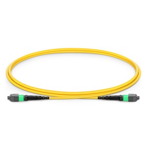 Single Mode MPO-12 (...