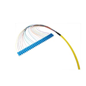 OM1 62.5/125 Multimo...